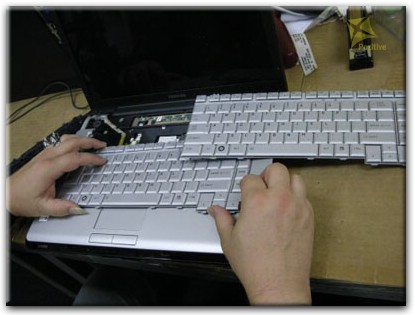 Ремонт клавиатуры на ноутбуке Toshiba в Хабаровске